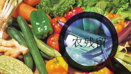 農(nóng)藥殘留檢測儀結(jié)果無法上傳是什么原因？農(nóng)藥殘留檢測儀的故障排除方法